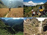 105 Trekking From Choya To Tangdung Khola UL Initially we hiked through some beautiful fields of fresh, beautiful buckwheat. UR The porters moved quickly under their heavy baskets, and then rested often. LL �It was quite impossible to make out the slightest vestige of a track on the other side, where a stretch of thick and apparently impenetrable jungle seemed to run far up the mountain side� (Maurice Herzog, Annapurna). LR A beautiful waterfall came down one of the side hills.